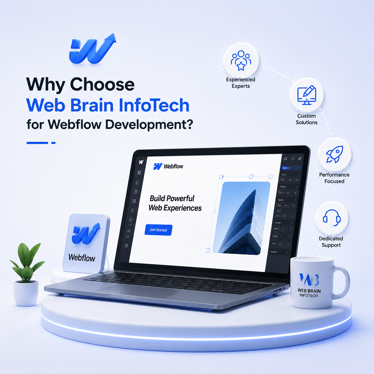 Web Brain Team